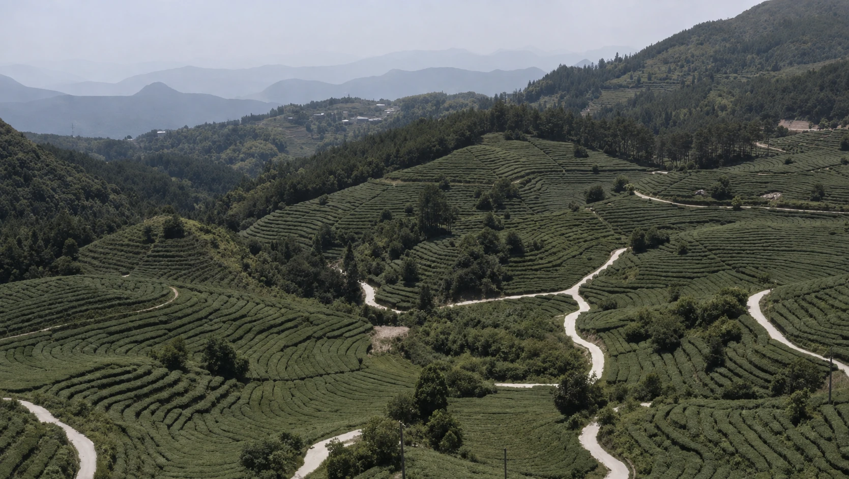 群山与茶园航拍实景，原片经AI清晰度增强